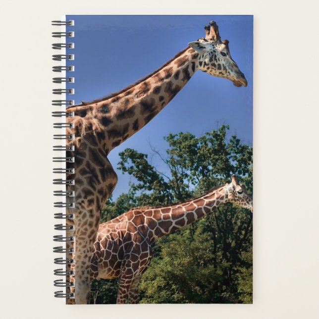 Giraffes Planner (Front)