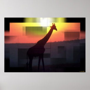 Giraffes Print