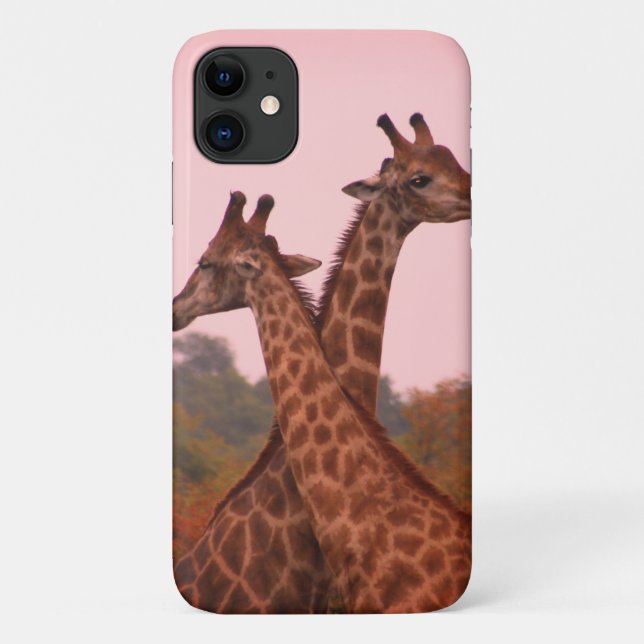 Giraffes standing in mopani trees with pink sky Case-Mate iPhone case (Back)