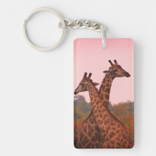Giraffes standing in mopani trees with pink sky key ring