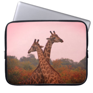 Giraffes standing in mopani trees with pink sky laptop sleeve