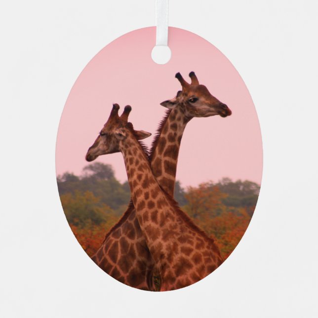 Giraffes standing in mopani trees with pink sky metal tree decoration (Front)