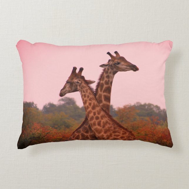 Giraffes with a pink sky  decorative cushion (Front)