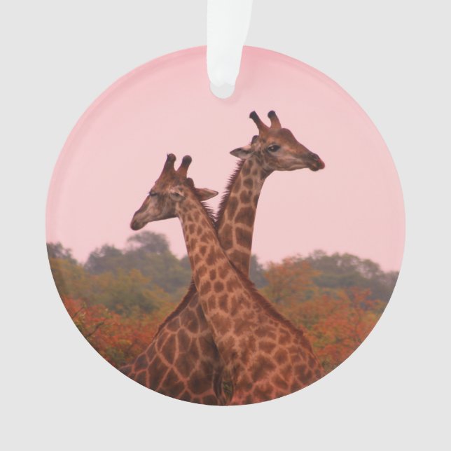 Giraffes with a pink sky  ornament (Front)