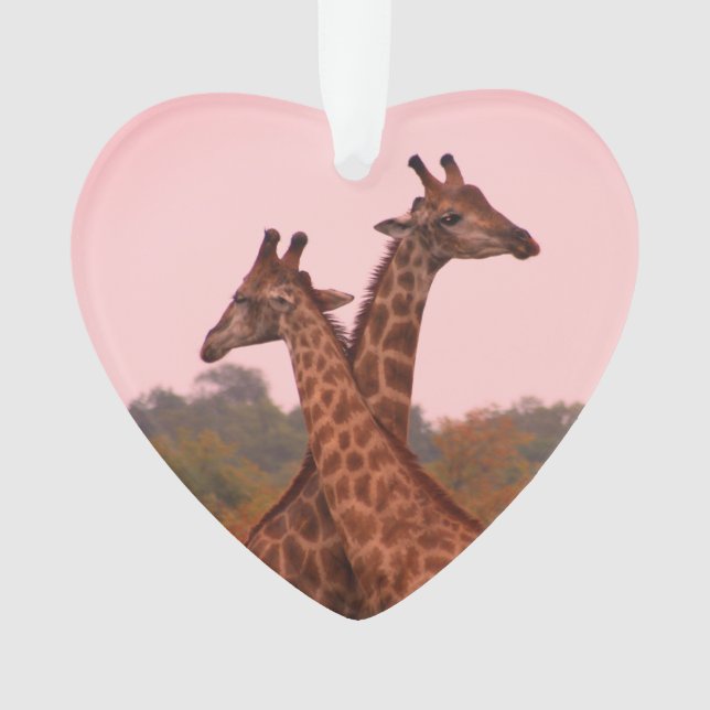 Giraffes with a pink sky  ornament (Front)