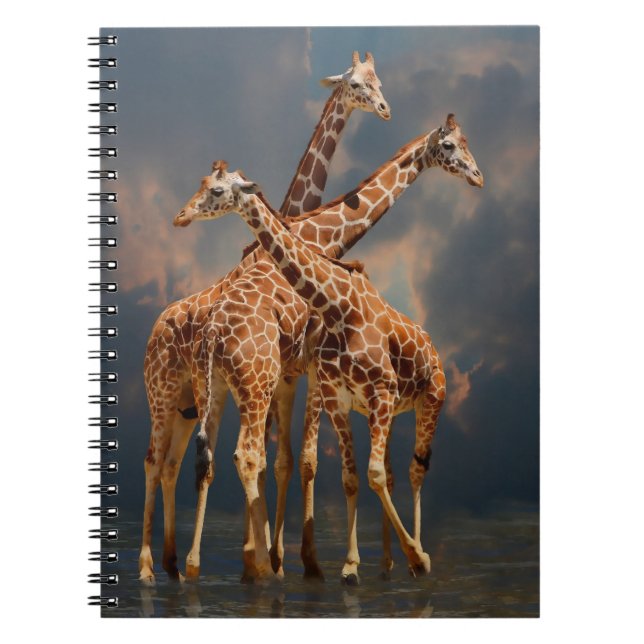 GIRAFFIC FANTASY NOTEBOOK (Front)