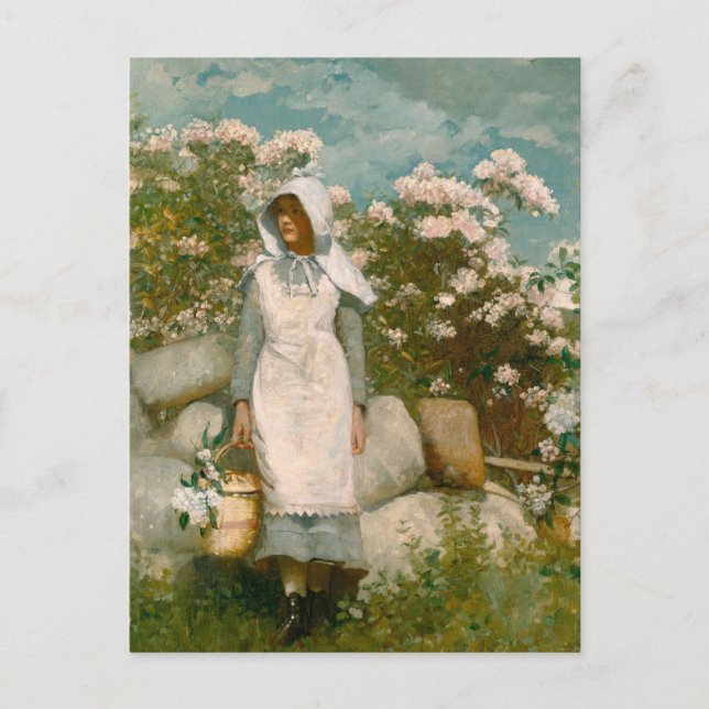 Girl and Laurel by Winslow Homer Postcard (Front)