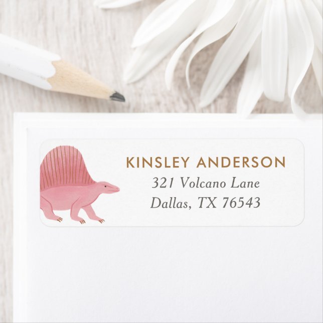 Girl Dinosaur Birthday Party Return Address Return Address Label (Insitu)