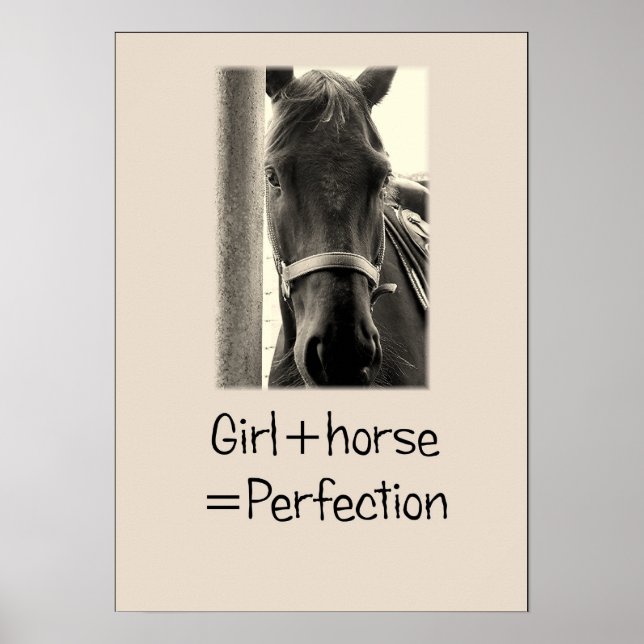 "Girl+Horse=Perfection" Sepuia Horse Poster (Front)