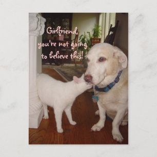 Girlfriend, you won't believe! postcard