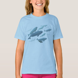 Girl's Beluga Whale Sweatshirt Baby Beluga Shirts