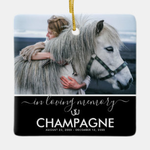 Girls Best Friend Horse Memorial Keepsake Ceramic Ornament