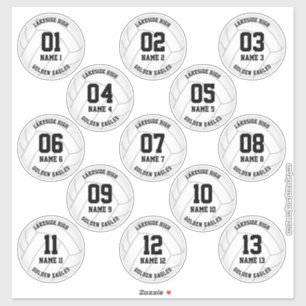 girls boys volleyball 3 inch sports stickers