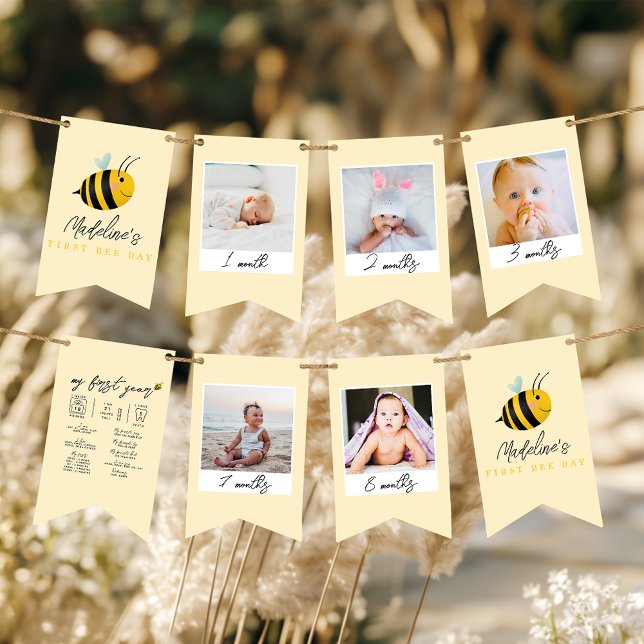 Girls Cute 1st Bee Day Birthday Milestone Photo  Bunting (Creator Uploaded)