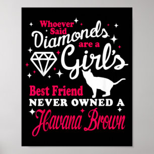 Girls Friend Never Owned A Havana Brown Cat Lover Poster