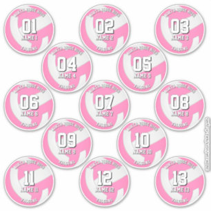girls pink volleyball team stickers 13 athletes