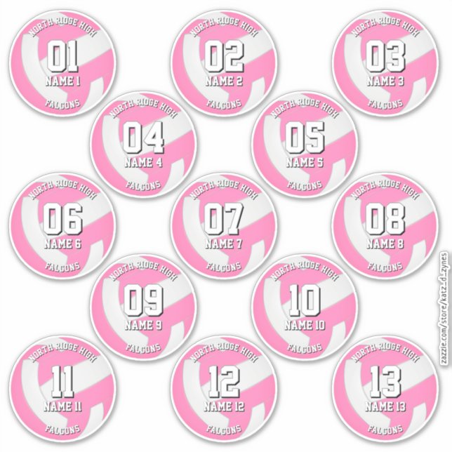 girls pink volleyball team stickers 13 athletes (Front)