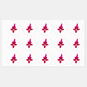 Girly Design, Light Gold, Purplish Red