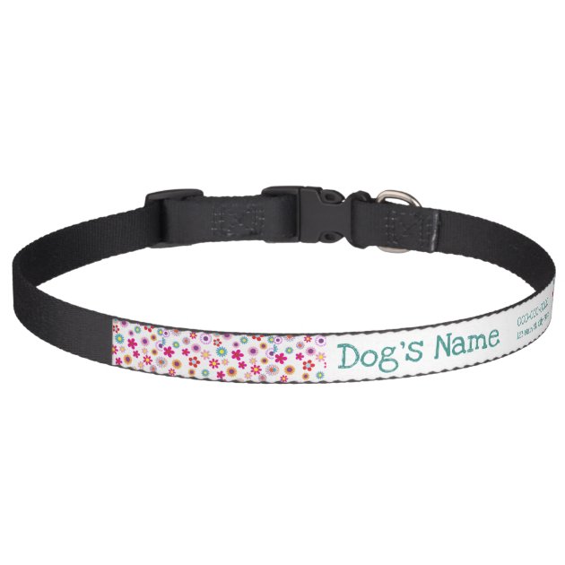 cute girl dog collars