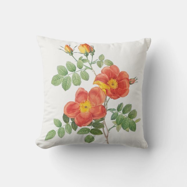 Girly Orange Rose Floral Botanical Cushion (Front)