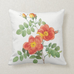 Girly Orange Rose Floral Botanical Cushion