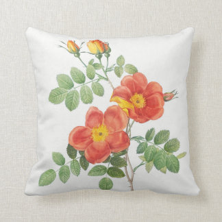 Girly Orange Rose Floral Botanical Cushion