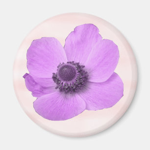 Girly Pink Anemone Magnet
