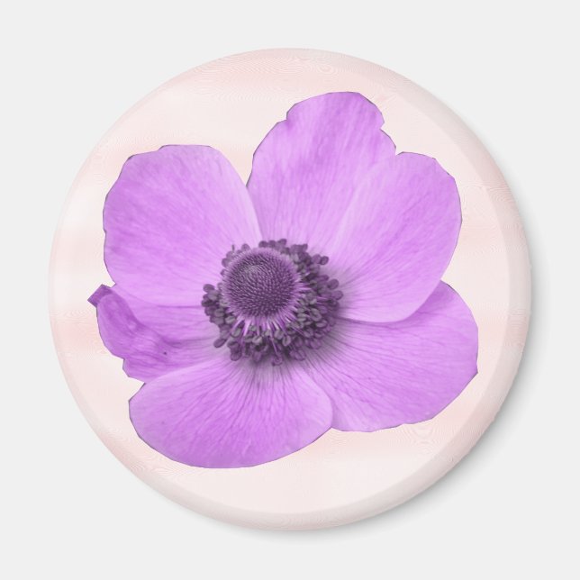 Girly Pink Anemone Magnet (Front)