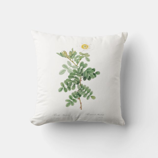 Girly white Rose Botanic Garden Flower Two-Tone Co Cushion (Front)