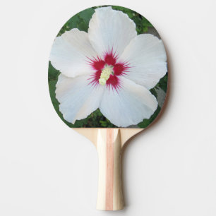 Girly White Rose of Sharon Summer Flower Photo Ping Pong Paddle