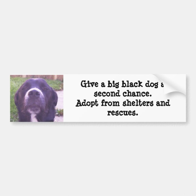 Give a big black dog a second chance... bumper sticker (Front)