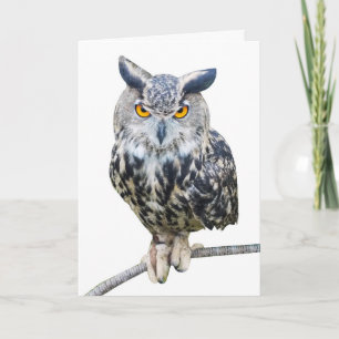 Give a Hoot Greeting Card