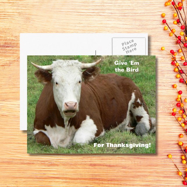 Give 'Em the Bird For Thanksgiving Holiday Postcard (Give 'Em the Bird For Thanksgiving Holiday Postcard)