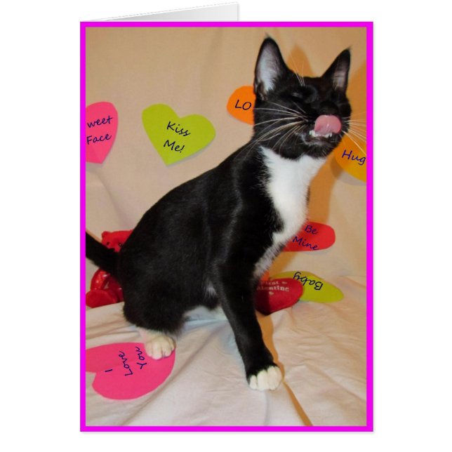 Give Me A Big Kiss - Cat Valentine's Day Card (Front)