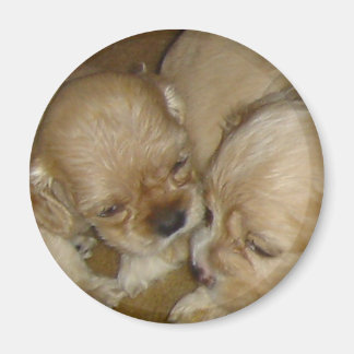 Give me a kiss magnet