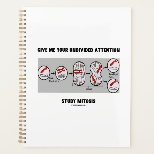 Give Me Your Undivided Attention Study Mitosis Planner (Front)
