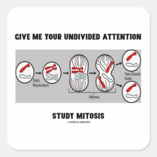 Give Me Your Undivided Attention Study Mitosis Square Sticker