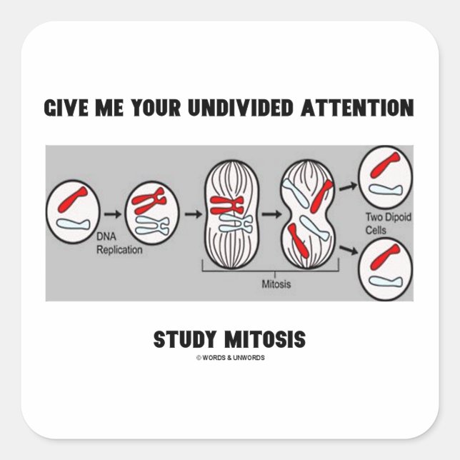Give Me Your Undivided Attention Study Mitosis Square Sticker (Front)