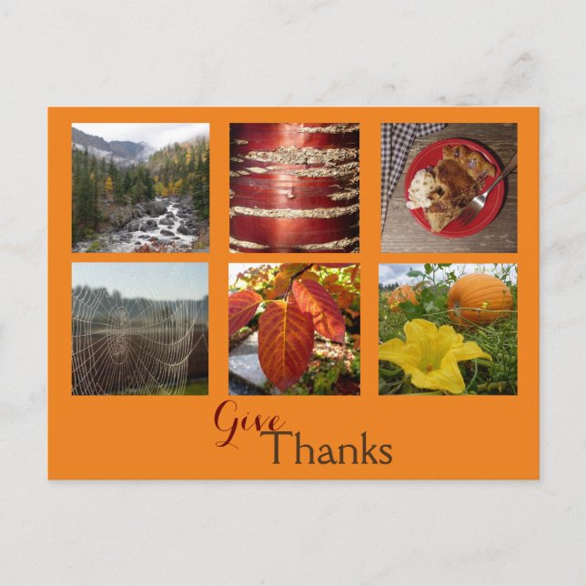 Give Thanks (Fall Collage) Postcard (Front)