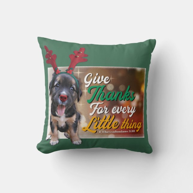 Give thanks for every little thing cushion (Front)
