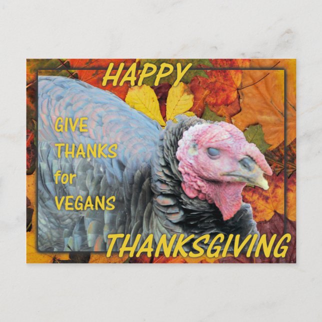 Give Thanks for Vegans Holiday Postcard (Front)