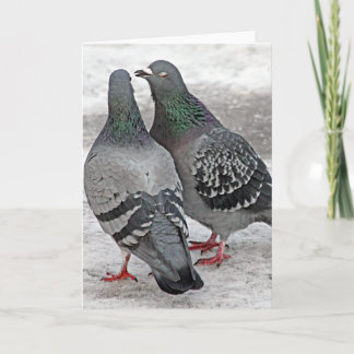 Give Us A Kiss Pigeon Card