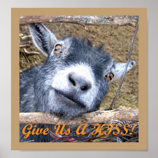 Give Us A Kiss! Poster (Front)