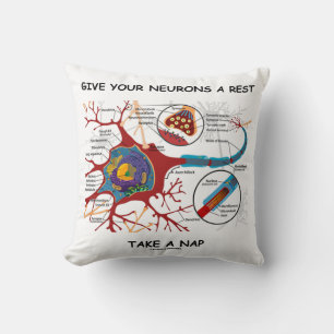 Give Your Neurons A Rest Take A Nap Neuron Synapse Cushion