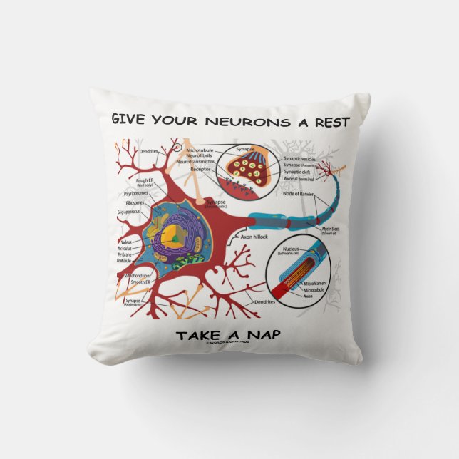 Give Your Neurons A Rest Take A Nap Neuron Synapse Cushion (Front)