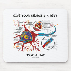 Give Your Neurons A Rest Take A Nap Neuron Synapse Mouse Pad