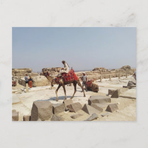 Giza plateau near the pyramids postcard