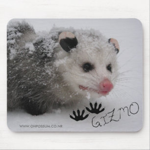 Gizmo Signature Mousepad