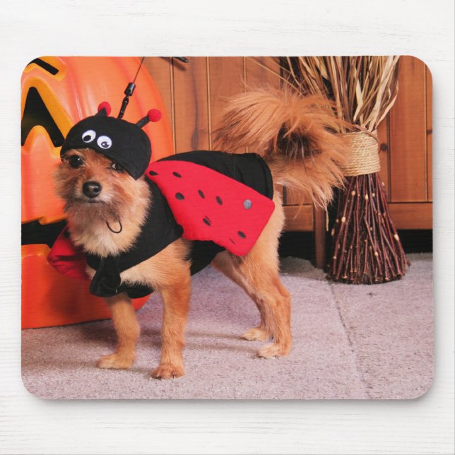 Gizzy - YorkiePom - Burbridge Mouse Pad (Front)