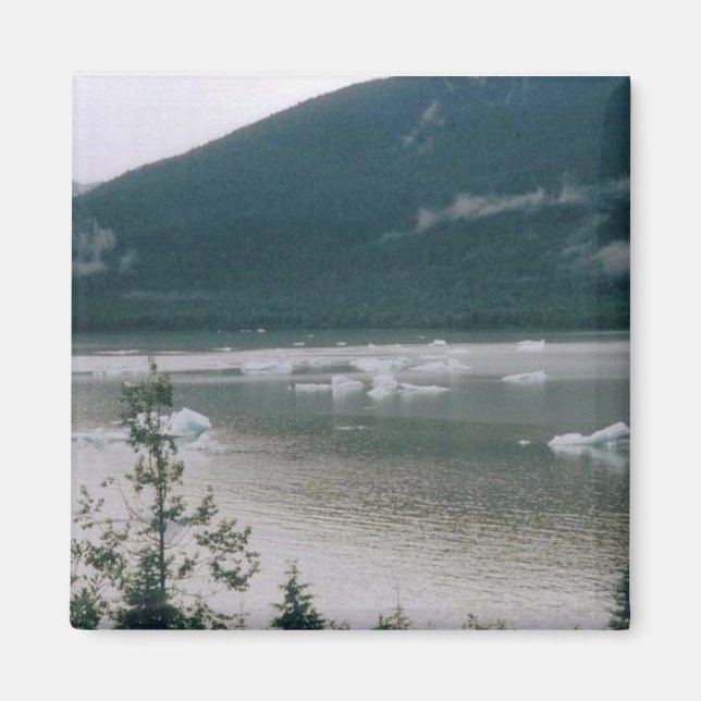 Glacial Ice in Alaska Magnet (Front)